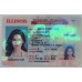 Illinois IDs Illinois IDs